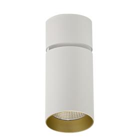 DL300043  Eos A 20, 20W White & Gold Surface LED Spotlight 1480lm 25° 2700K IP20